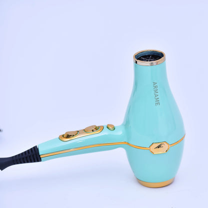 SECHE CHEVEUX IONIC FRIZZ